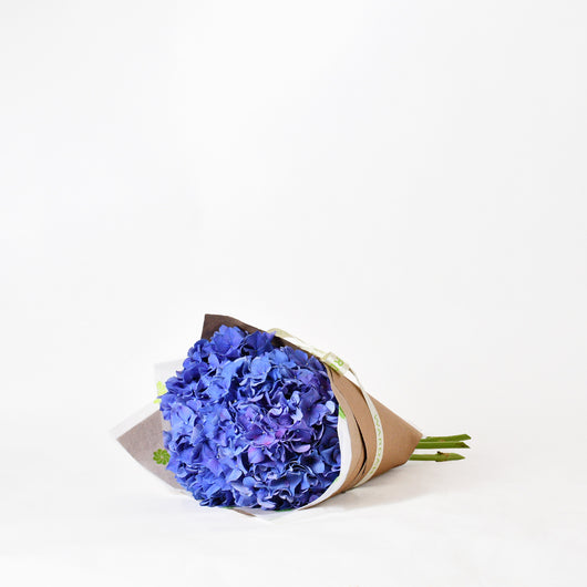 blue hydrangea Hand Bouquet
