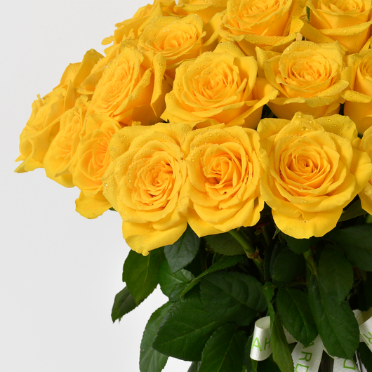 50 YELLOW ROSE IN A VASE