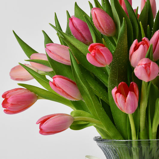 30 PINK TULIPS IN A VASE